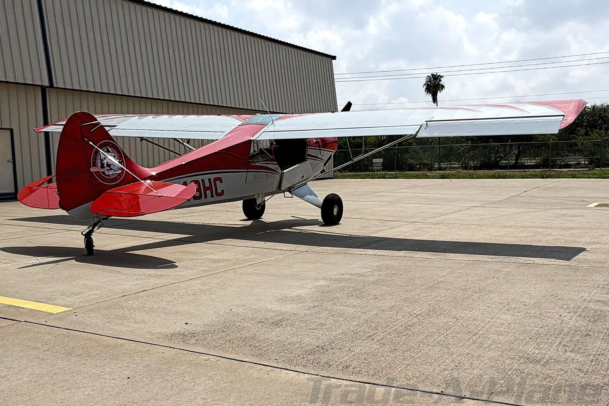 A rear-side view of the red and white Aviat Husky A-1C aircraft, registration N49HC, on an airfield with palm trees in the background.