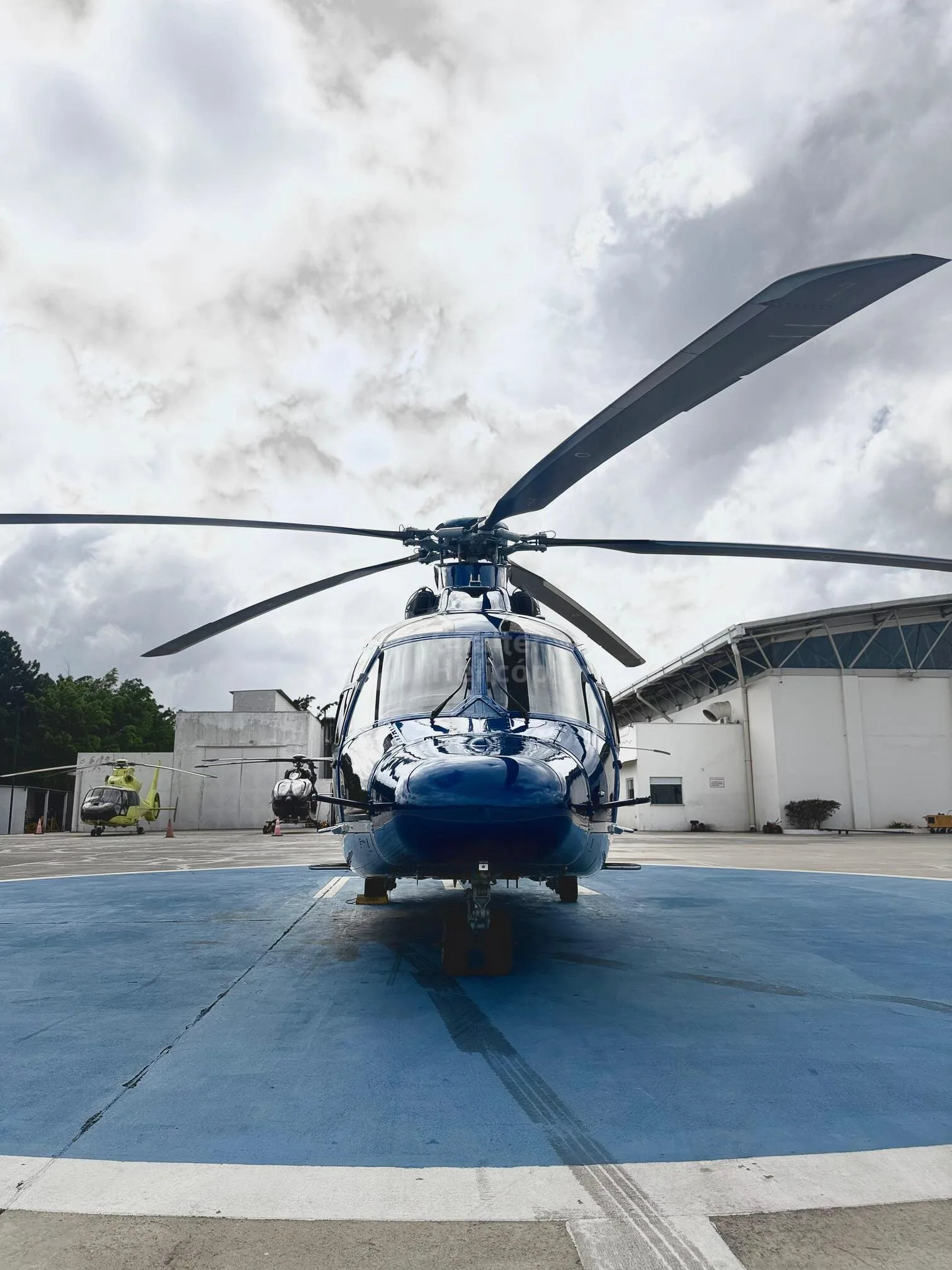Front view of a blue and light blue helicopter with gold stripes on a helipad.