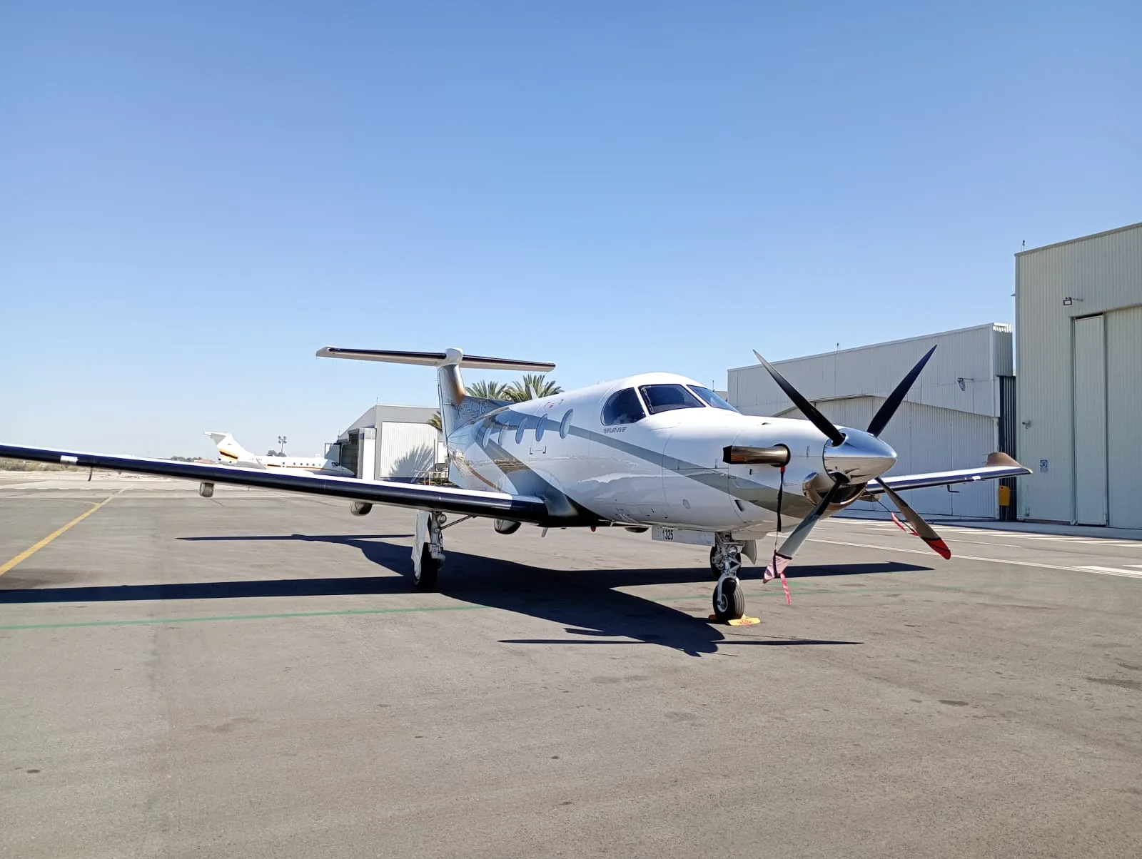 A white and grey Pilatus PC-12 turboprop aircraft parked on an asphalt apron under a clear blue sky.