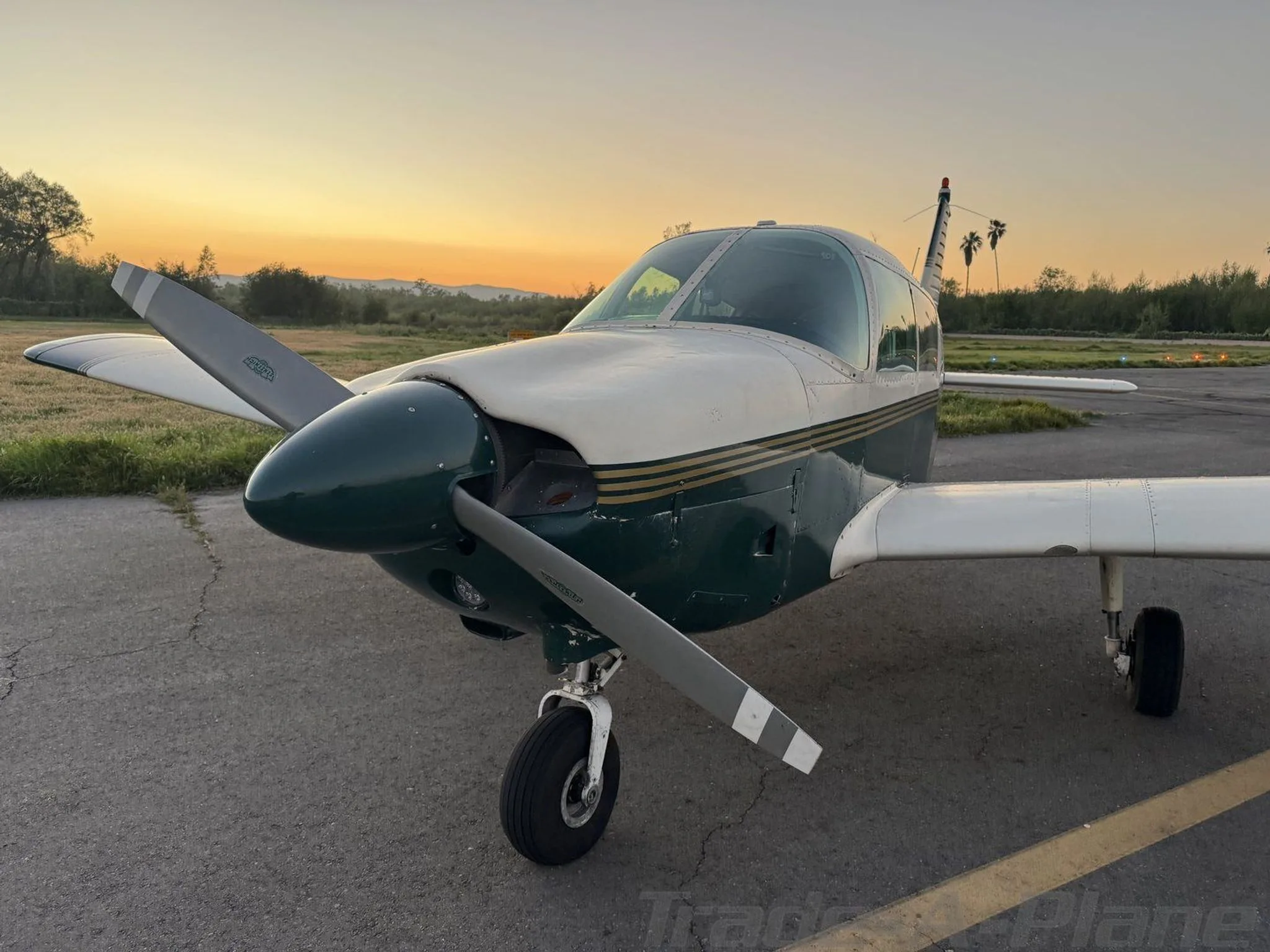 A front-quarter view of the N3683R aircraft on the tarmac, with its propeller and green and white paint scheme visible at sunset.