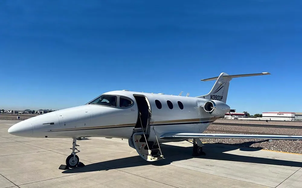 A white business jet with gold and black stripes, registration N390DP, parked on an airfield with its main door open.