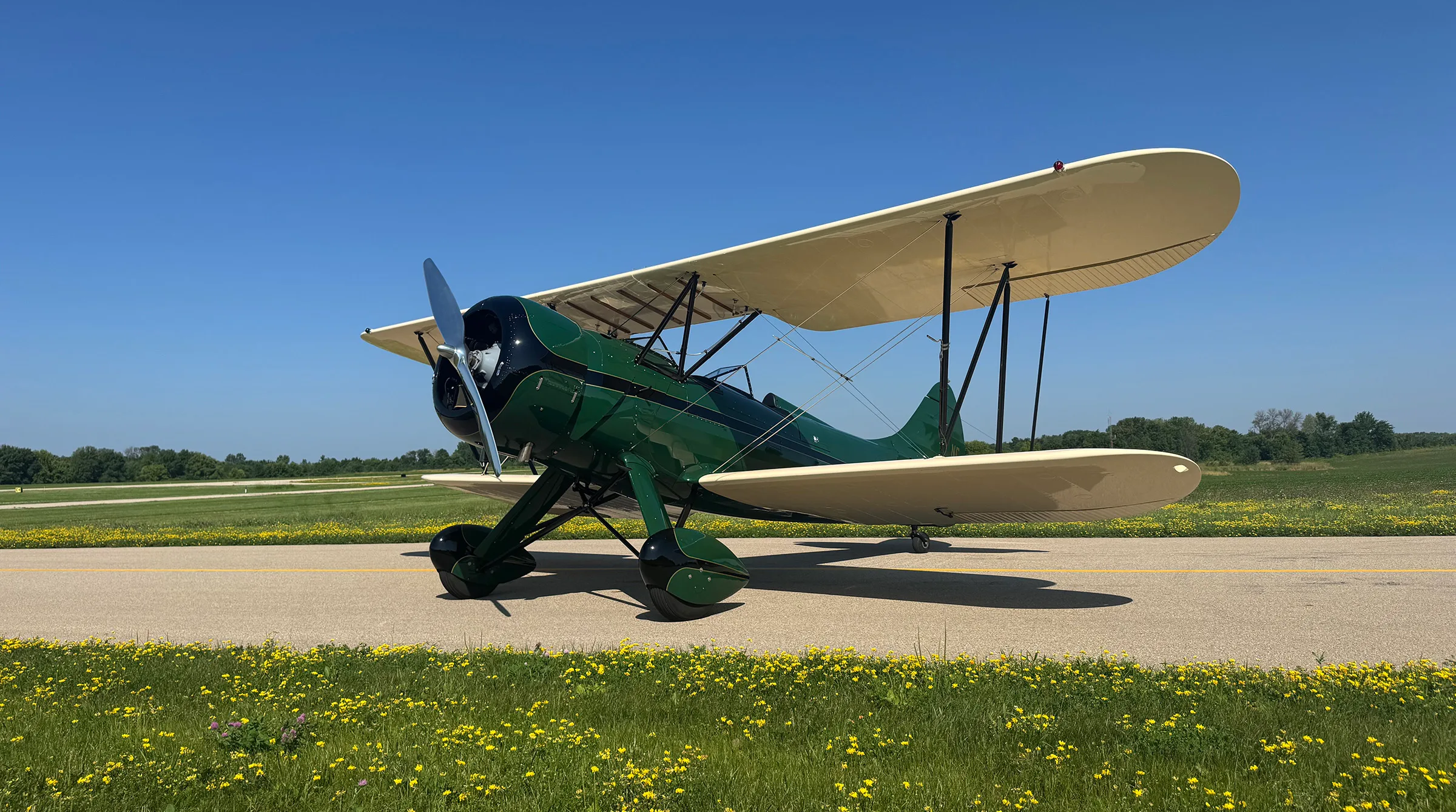 A green and cream biplane with a polished propeller parked on an airfield surrounded by yellow wildflowers under a clear blue sky.