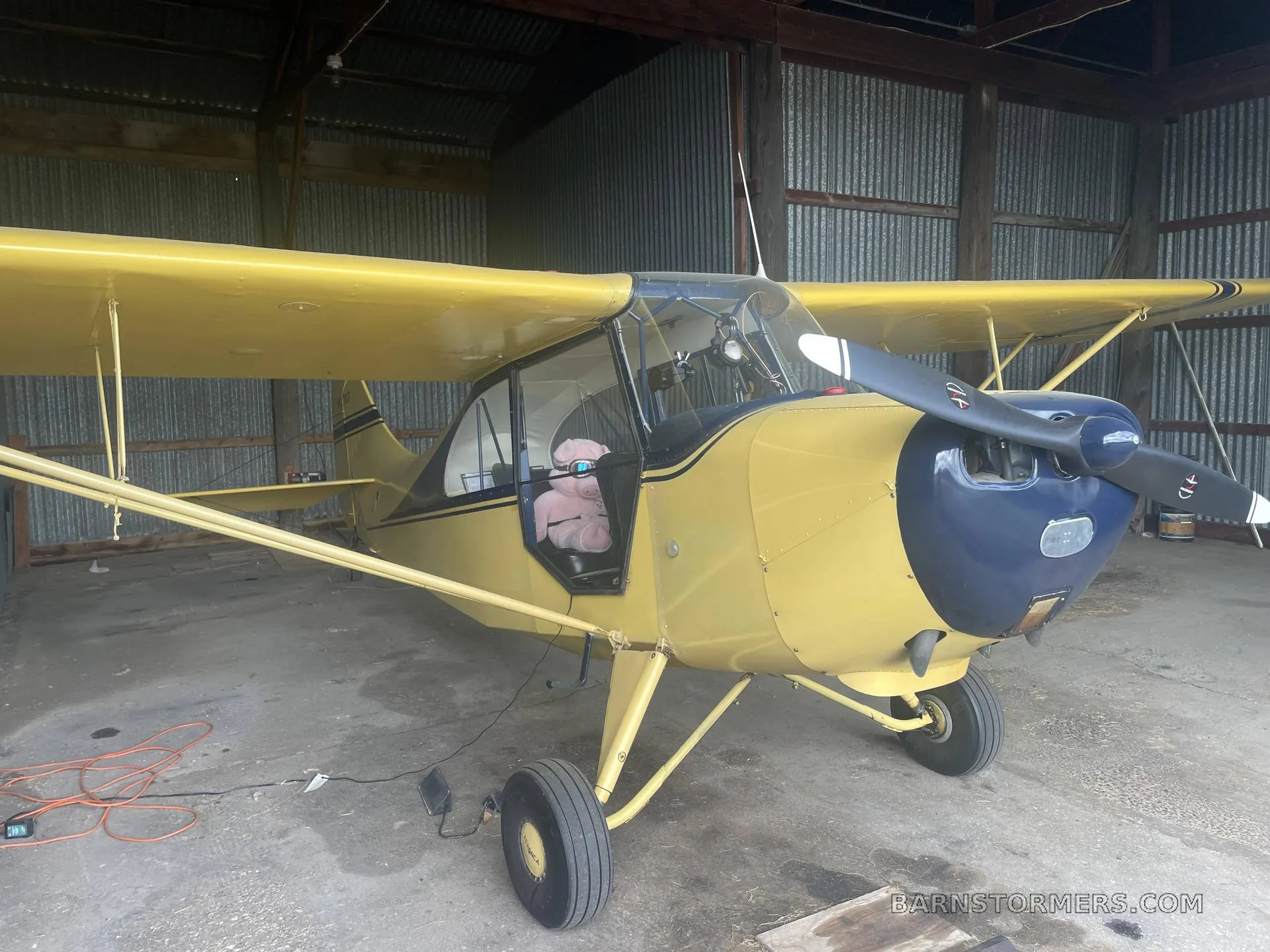 A yellow Aeronca Champ aircraft with a blue cowl and black stripes, parked in a hangar, with a pink pig plush toy in the cockpit.