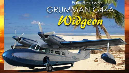 A blue and silver Grumman G44A Widgeon seaplane is parked on a sandy beach with palm trees and ocean in the background.