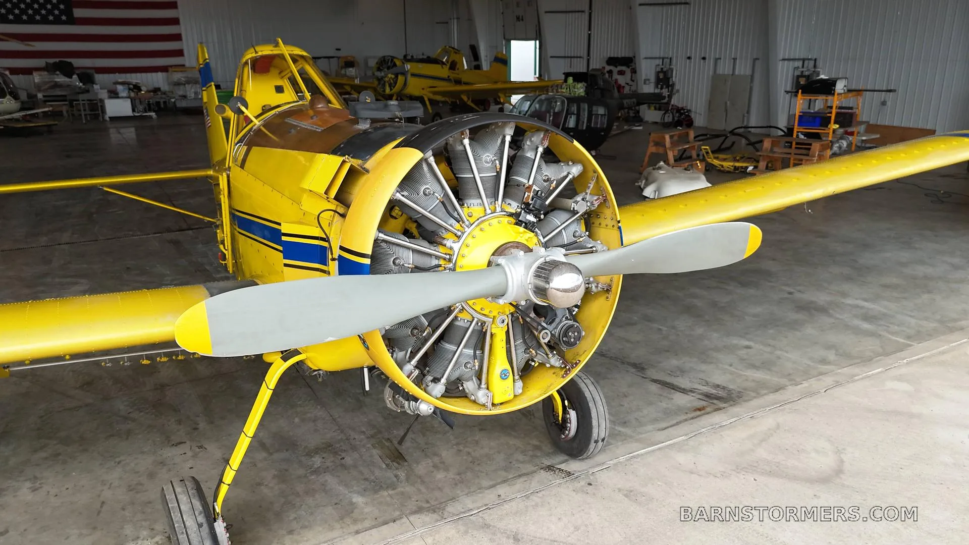 A close-up view of the front of a yellow agricultural aircraft with its radial engine exposed, parked inside a hangar.