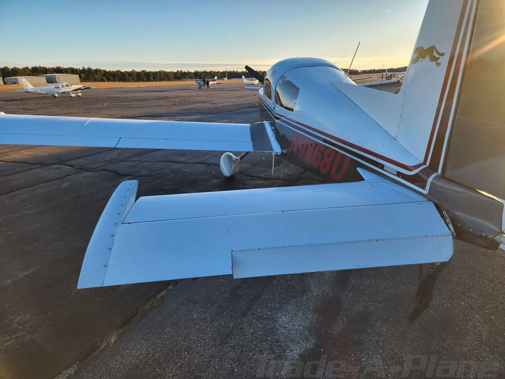 Rear view of the aircraft with a clear sky.