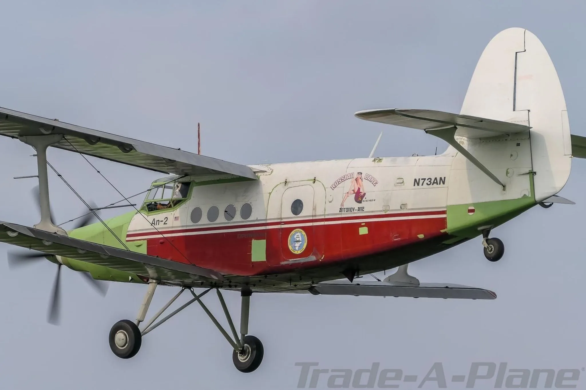 A close-up view of an Antonov An-2 biplane, painted white, red, and green, with "RUSSIAN BEAR" text on the fuselage, in flight.