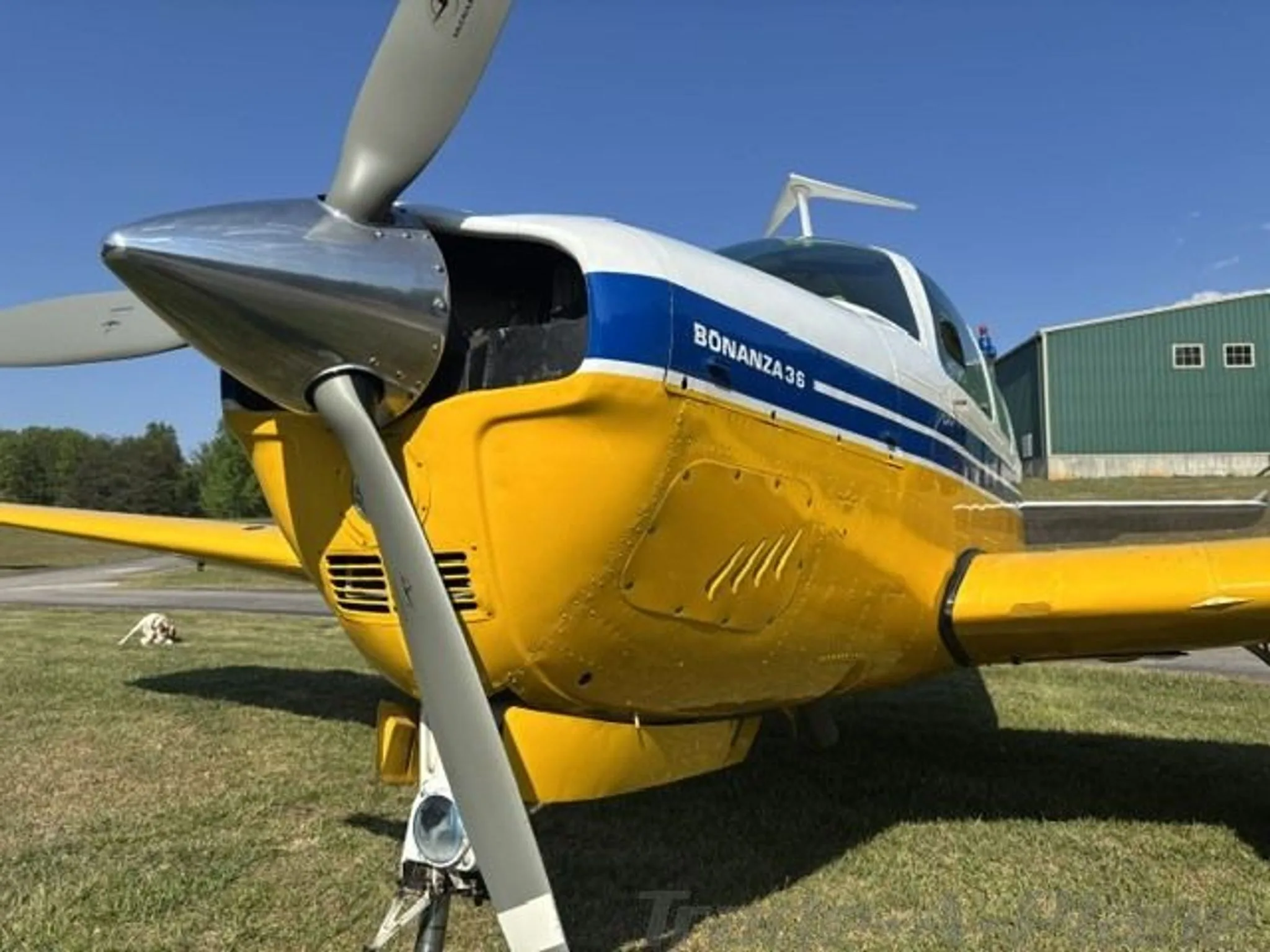 Front-quarter view of a yellow and white Beechcraft Bonanza 36 with blue stripes, parked on grass.