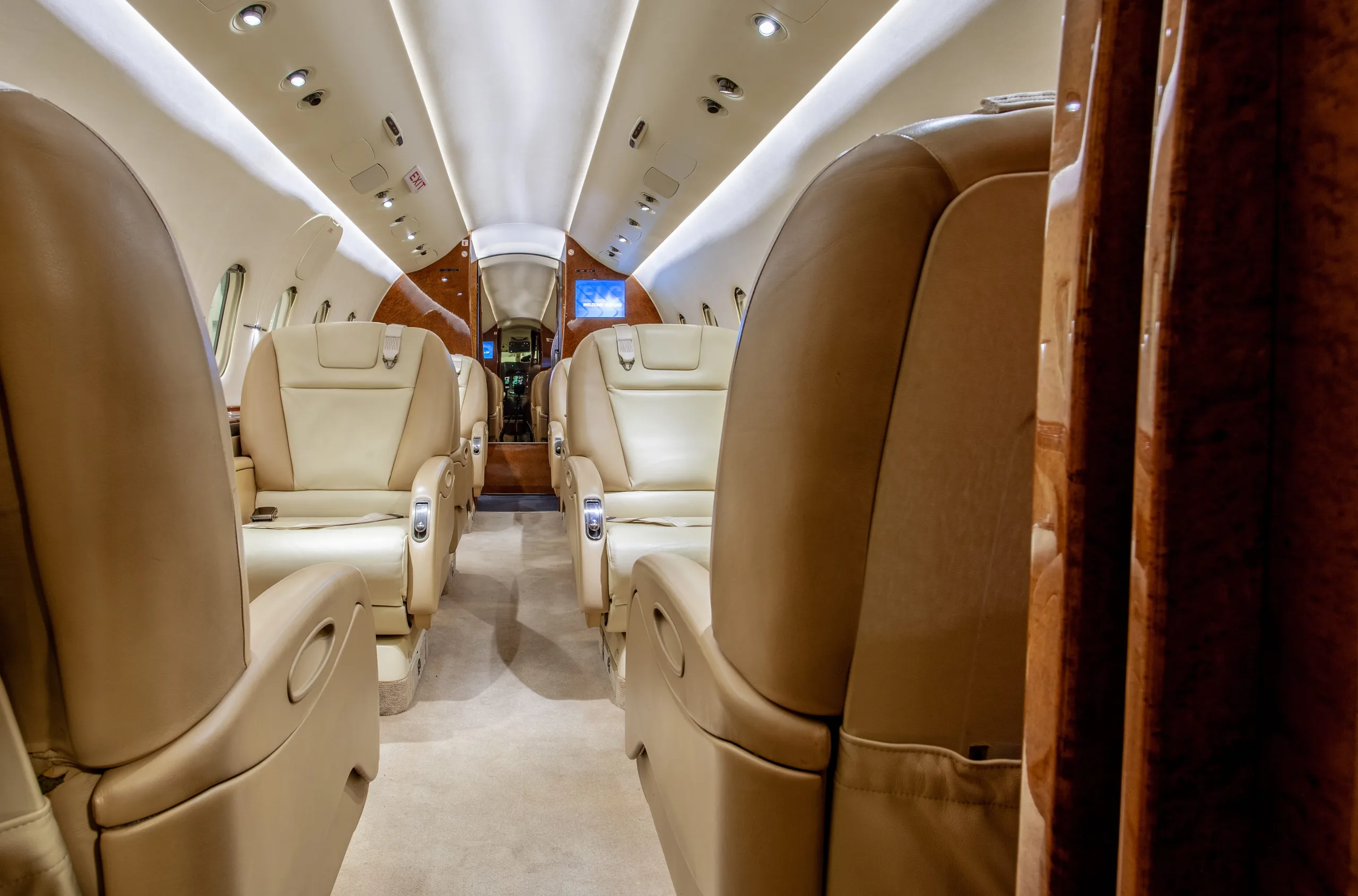 View of a luxurious aircraft cabin interior with beige leather seats and overhead lighting.