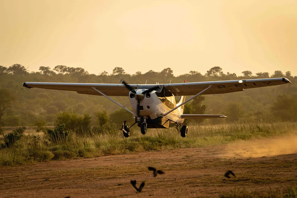 A white and black single-engine propeller aircraft is taking off or landing on a dirt runway, kicking up dust, under a golden sky.