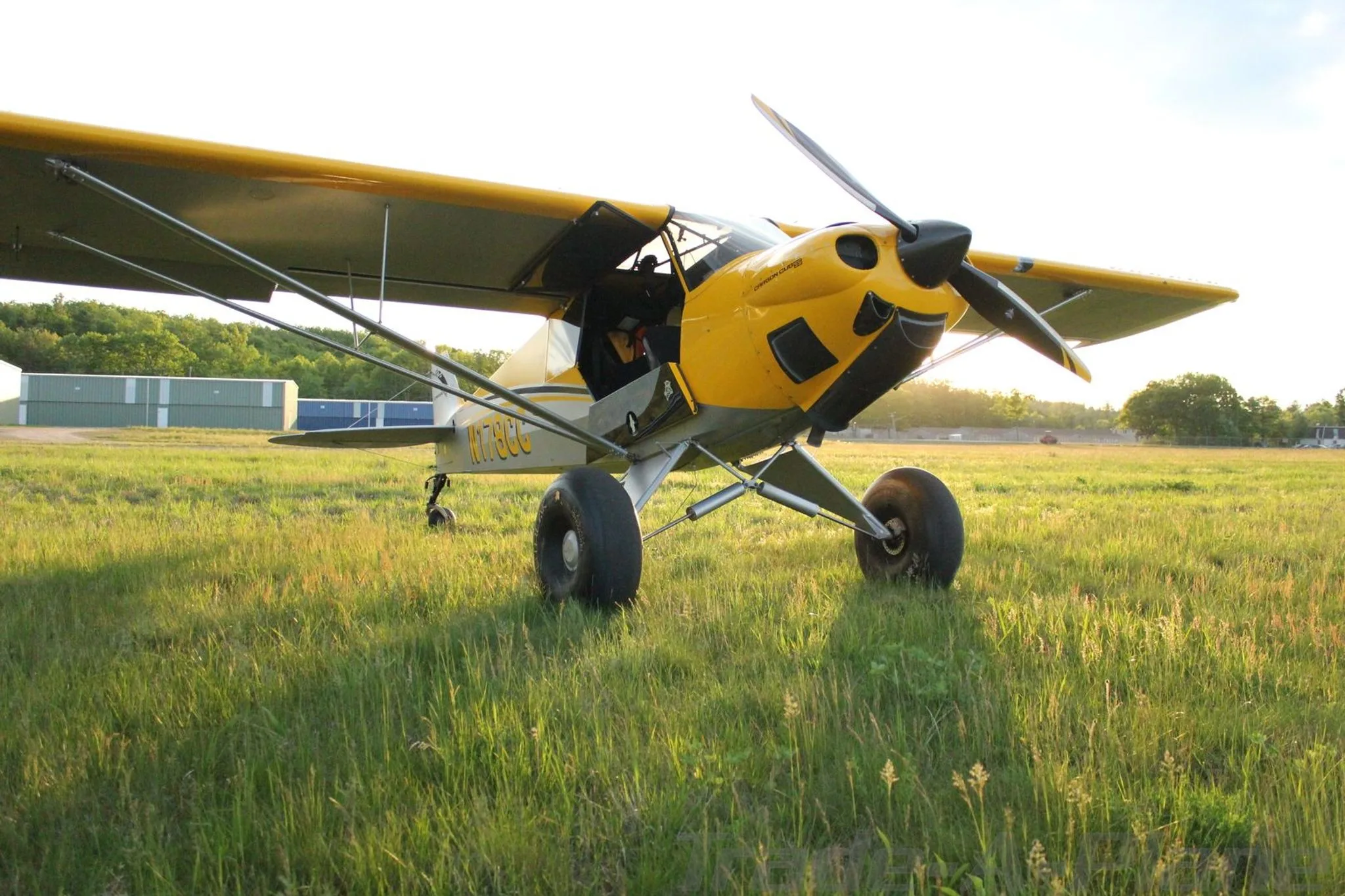 A yellow and grey Carbon Cub aircraft, N178CC, with large tundra tires, parked on a grassy field with buildings in the background.