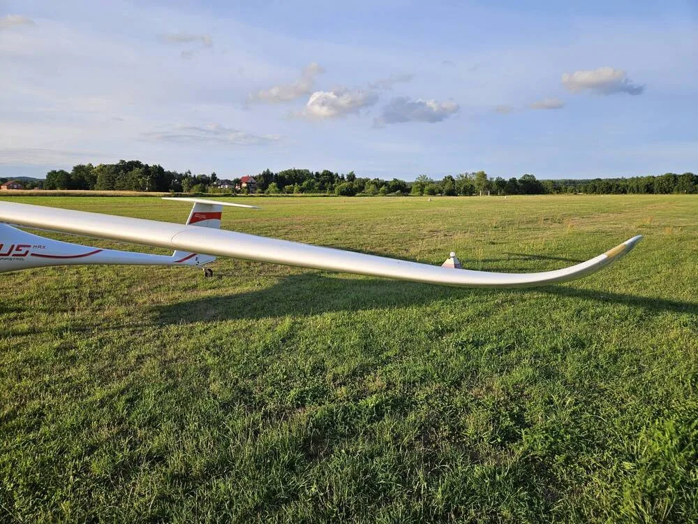 A close-up view of the white fuselage and long wing of a Pipistrel Sinus aircraft on a grassy field.