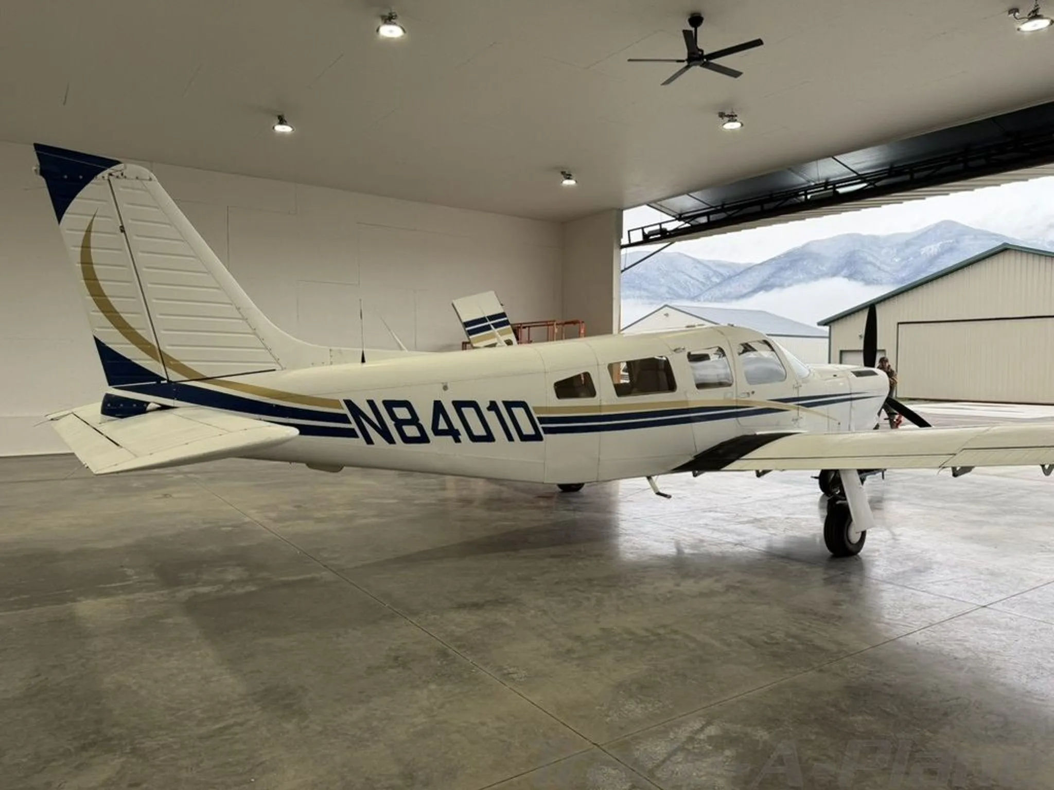 A white single-engine propeller aircraft with blue and gold stripes, registration N8401D, parked in a hangar with mountains visible outside.