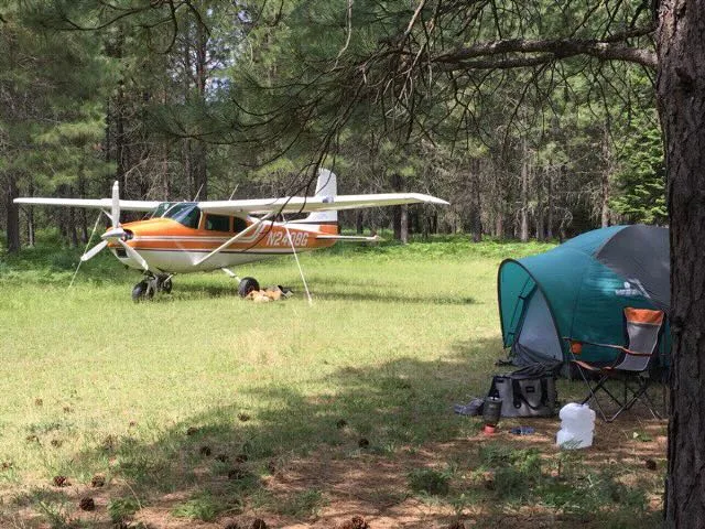 An orange and white single-engine bush plane is parked in a grassy, wooded area next to a green camping tent.