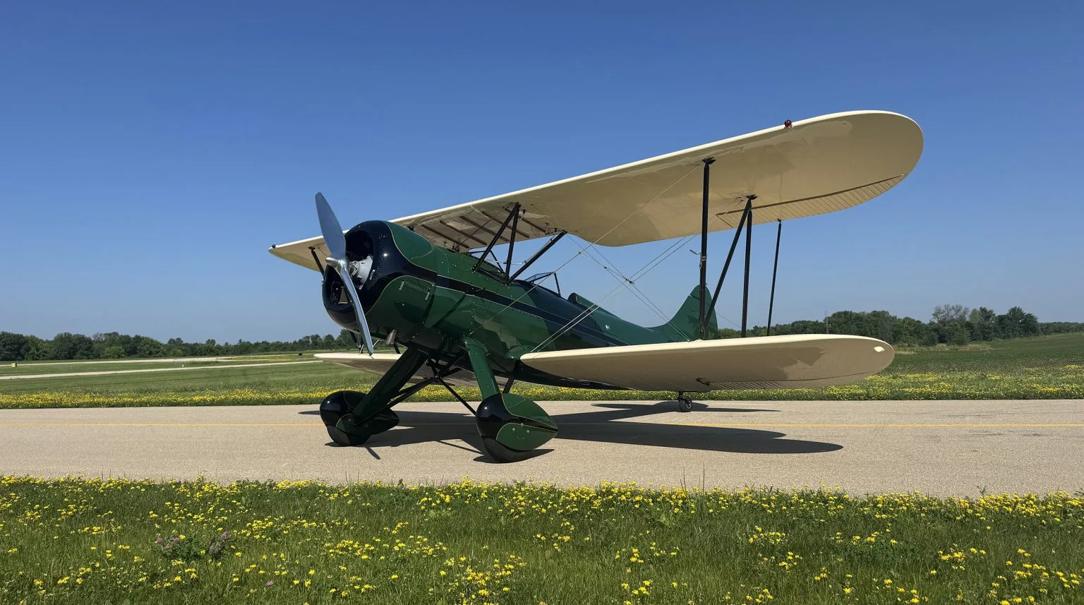 A green and black biplane with cream wings sits on an airfield runway surrounded by grass and yellow flowers under a clear blue sky.