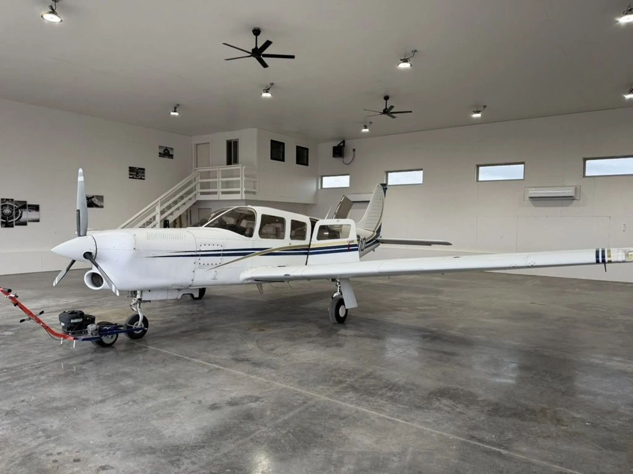 A white single-engine propeller aircraft with blue and gold stripes, registration N8401D, parked in a hangar, viewed from the front left.