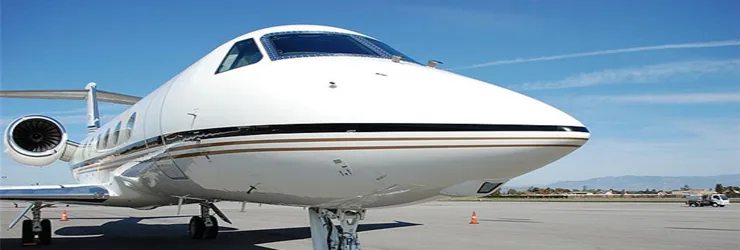 The front view of a white private jet with gold and black stripes parked on an airport tarmac on a sunny day.