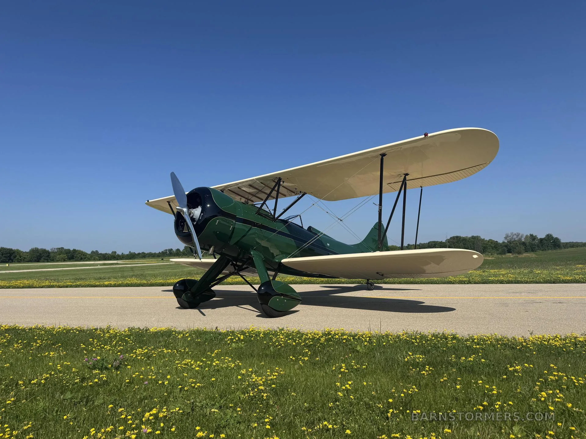 A green and cream biplane is parked on an asphalt runway, surrounded by grass with yellow flowers under a clear blue sky.