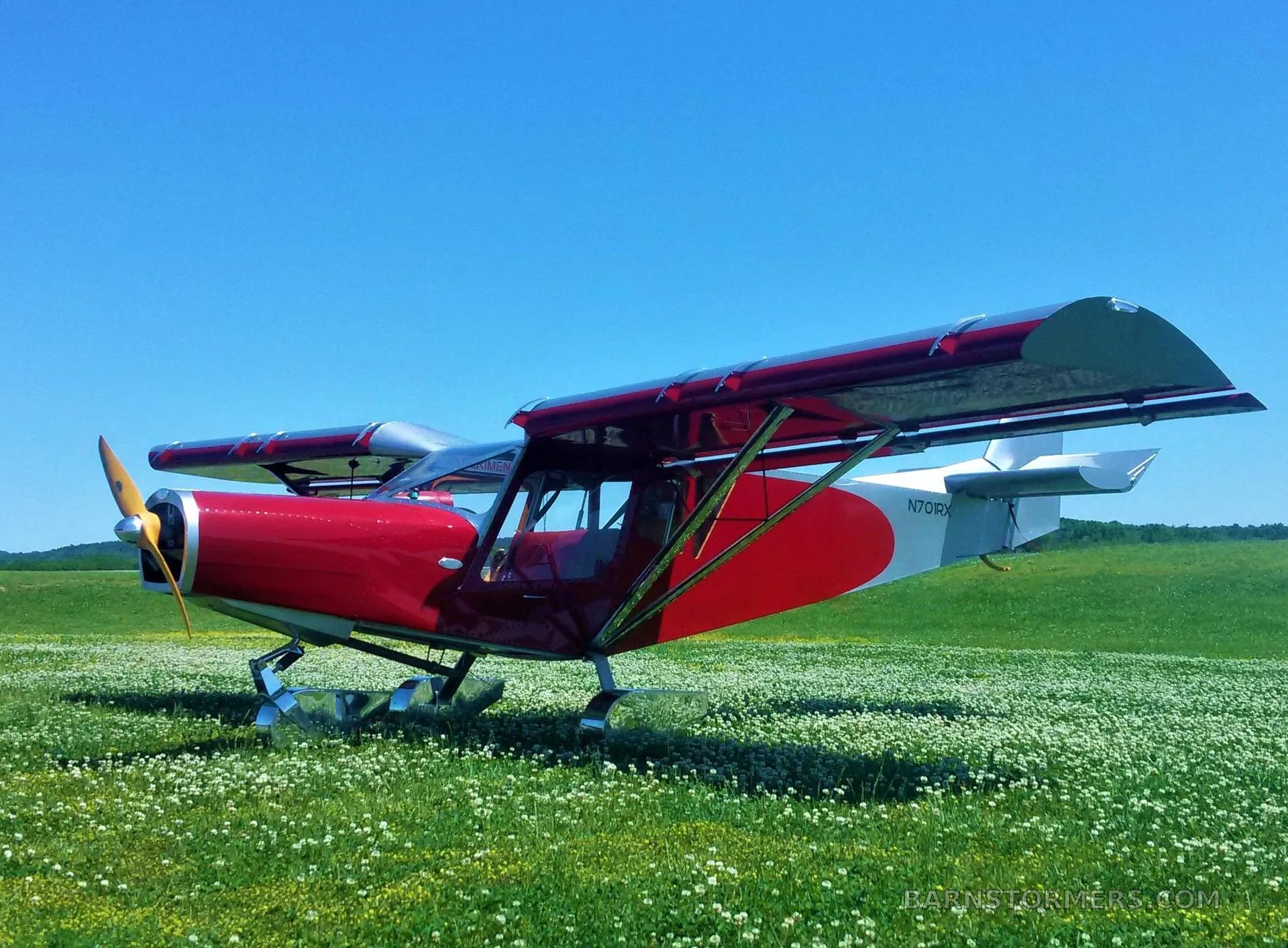 A red and silver single-engine aircraft with registration N70RX parked in a field of white flowers under a clear blue sky.