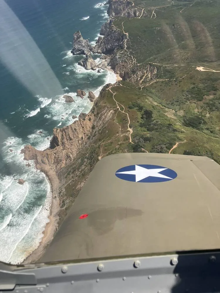 An aerial view from an aircraft wing, showing a rugged coastline with cliffs, beaches, and the ocean with white waves.