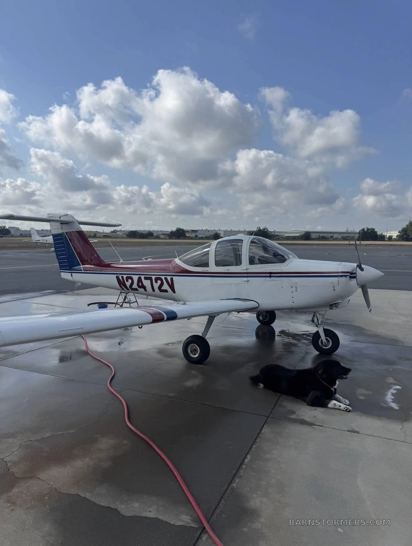 A white single-engine aircraft with red and blue stripes (N2472V) is parked on an asphalt ramp with a black dog lying next to it, under a partly cloudy sky.