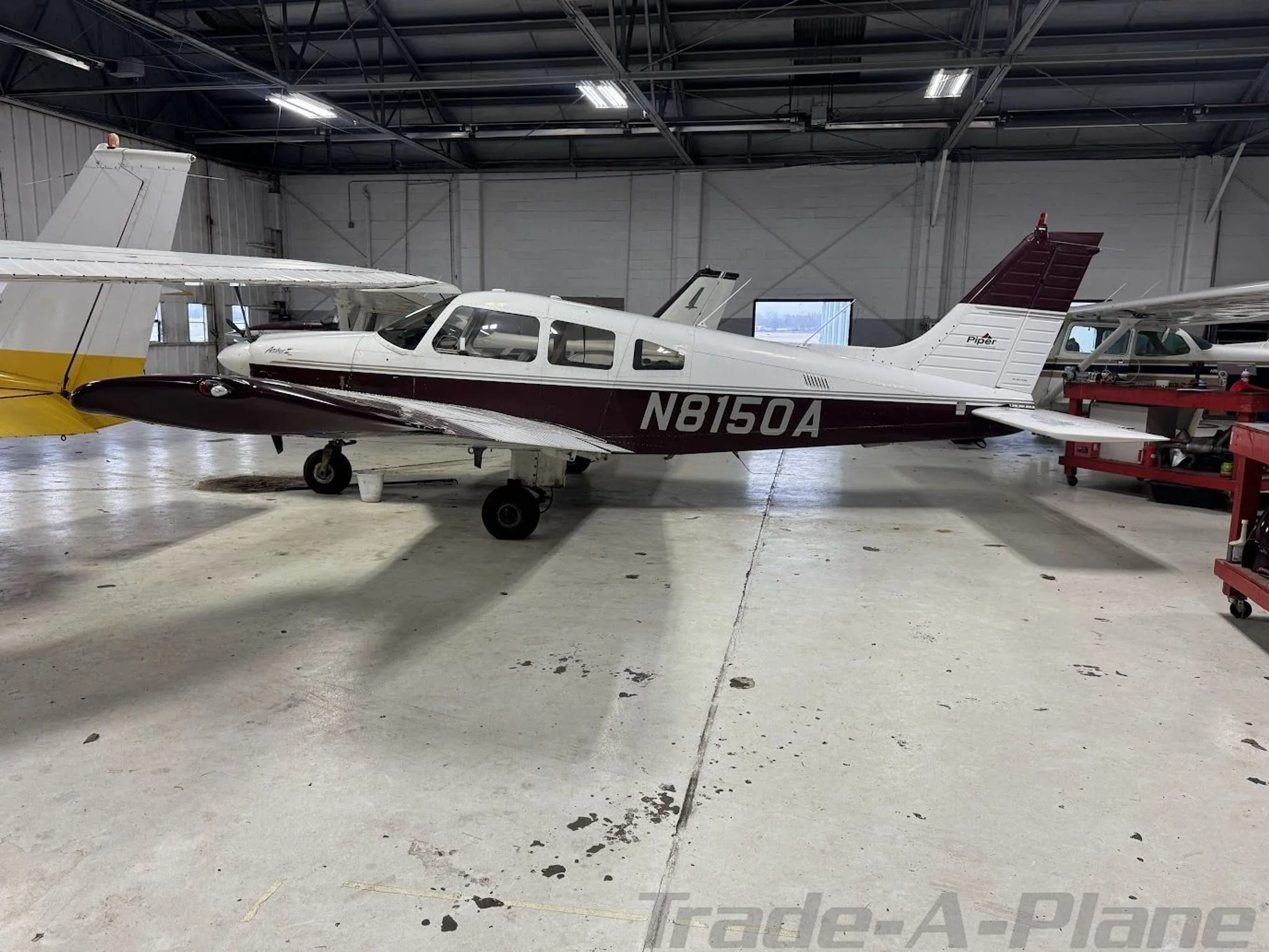 Side view of a white and maroon Piper Archer II (N8150A) parked in a hangar.