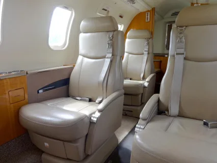 A view of the aircraft's interior with tan leather seats.