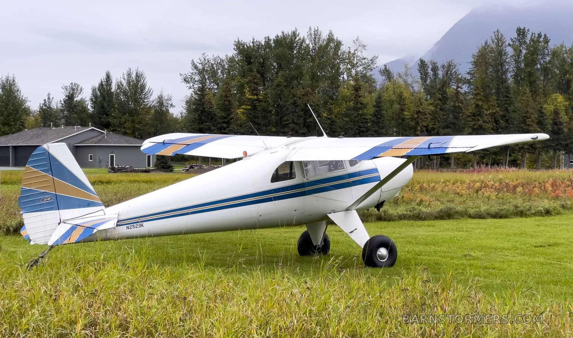 A white high-wing single-engine aircraft with blue and gold stripes parked on a grassy field with trees and mountains in the background.