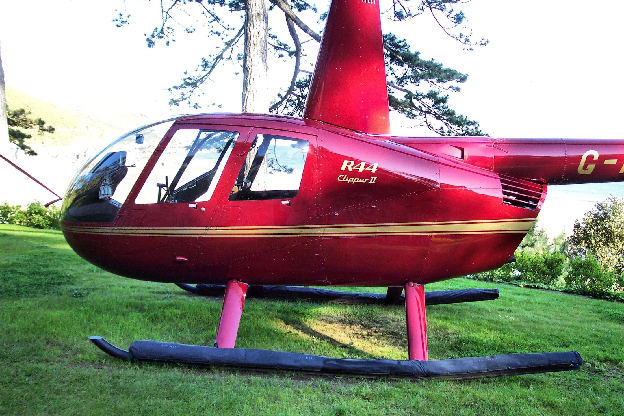A glossy red Robinson R44 Clipper II helicopter with gold stripes, parked on a grassy lawn.