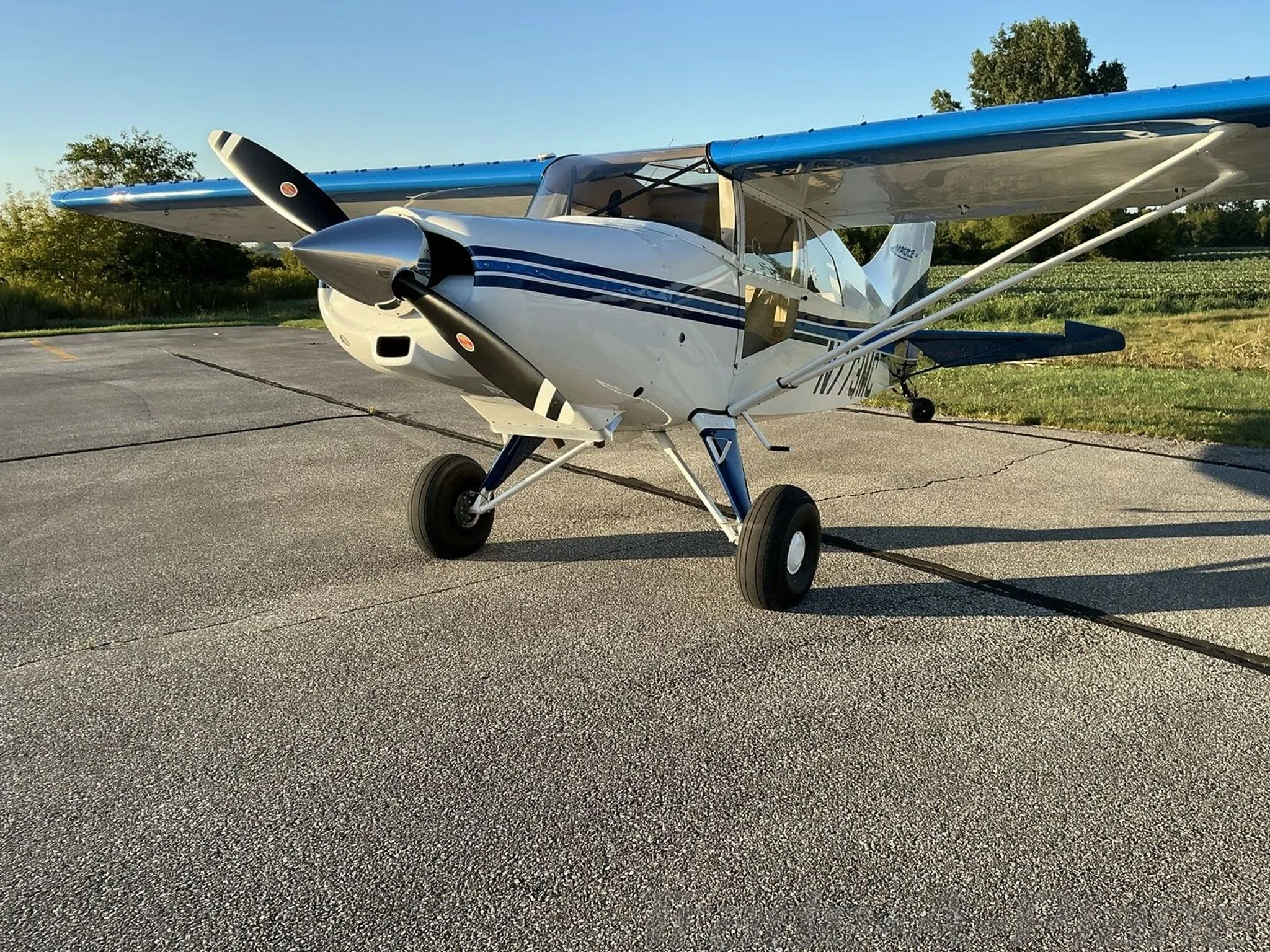 A front view of a white Maule aircraft with blue wingtips and propeller, parked on an asphalt surface.