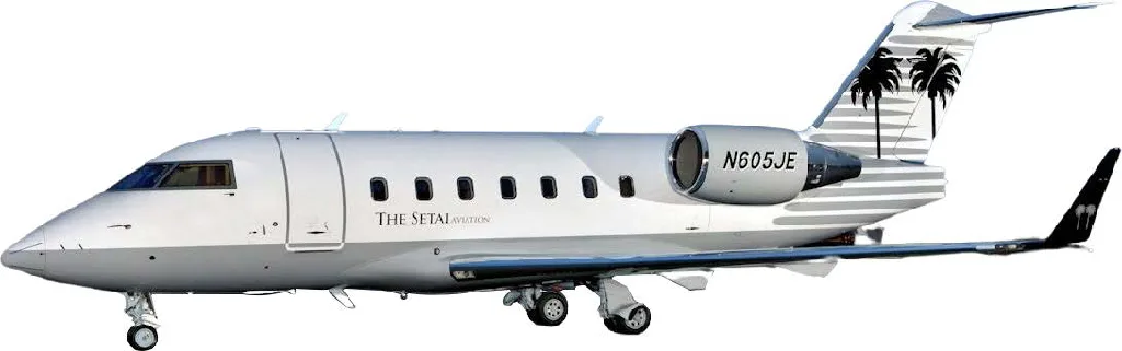 A side view of a white Bombardier Challenger 605 business jet, registration N605JE, with palm tree tail art, against a white background.