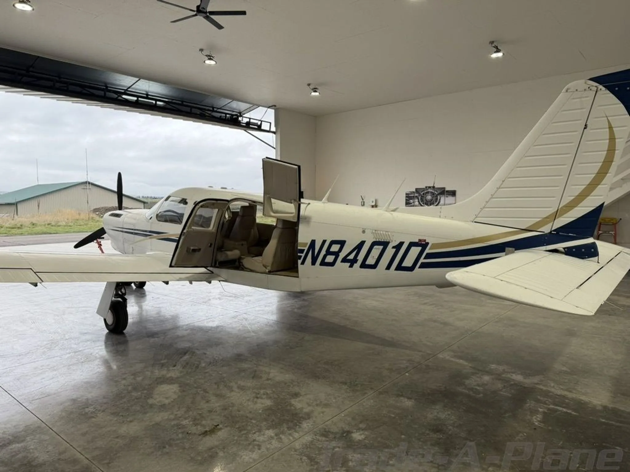 A white single-engine propeller aircraft with blue and gold stripes, registration N8401D, parked in a hangar with its cabin doors open.