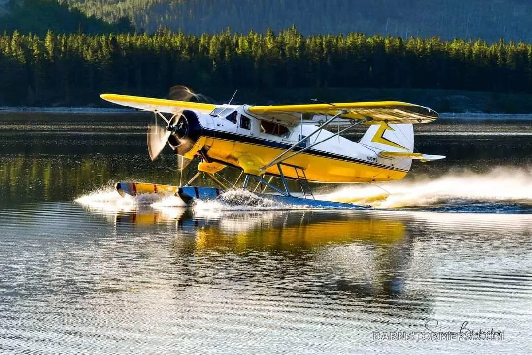 A yellow and white floatplane takes off from a lake, creating a spray of water, with a forest in the background.