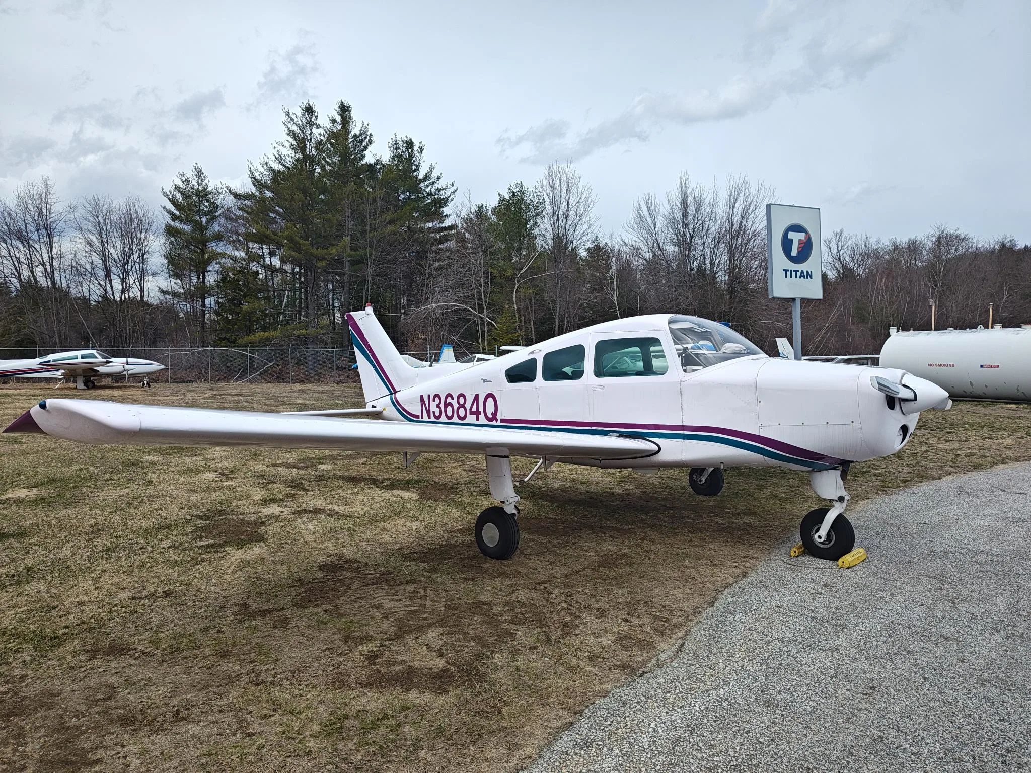 A white single-engine propeller aircraft with purple and blue stripes, registration N3684Q, parked on grass at an airfield.