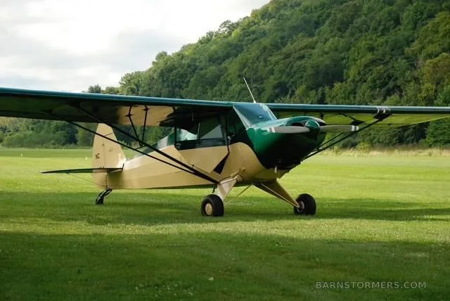 A beige and dark green single-engine propeller aircraft on a grassy field with a forest in the background.