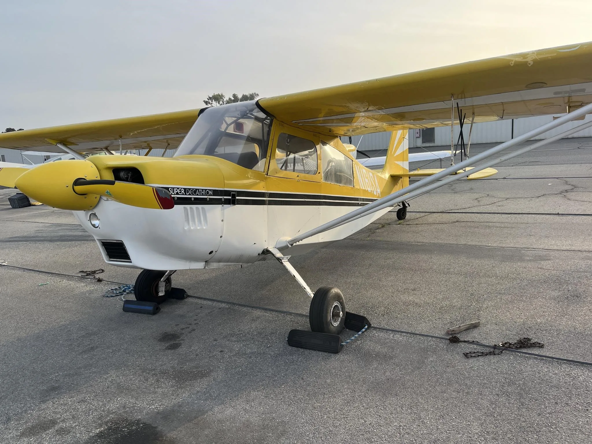 A yellow and white Super Decathlon aircraft with a black stripe parked on an asphalt ramp.