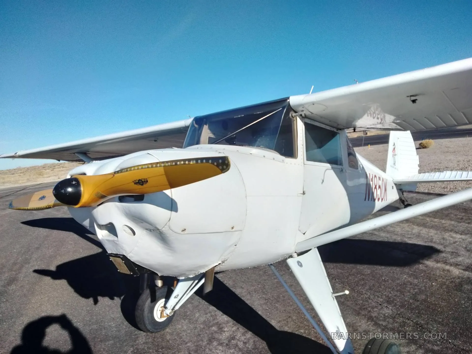 A close-up front view of a white Luscombe 8A aircraft showing its yellow propeller and engine cowling.