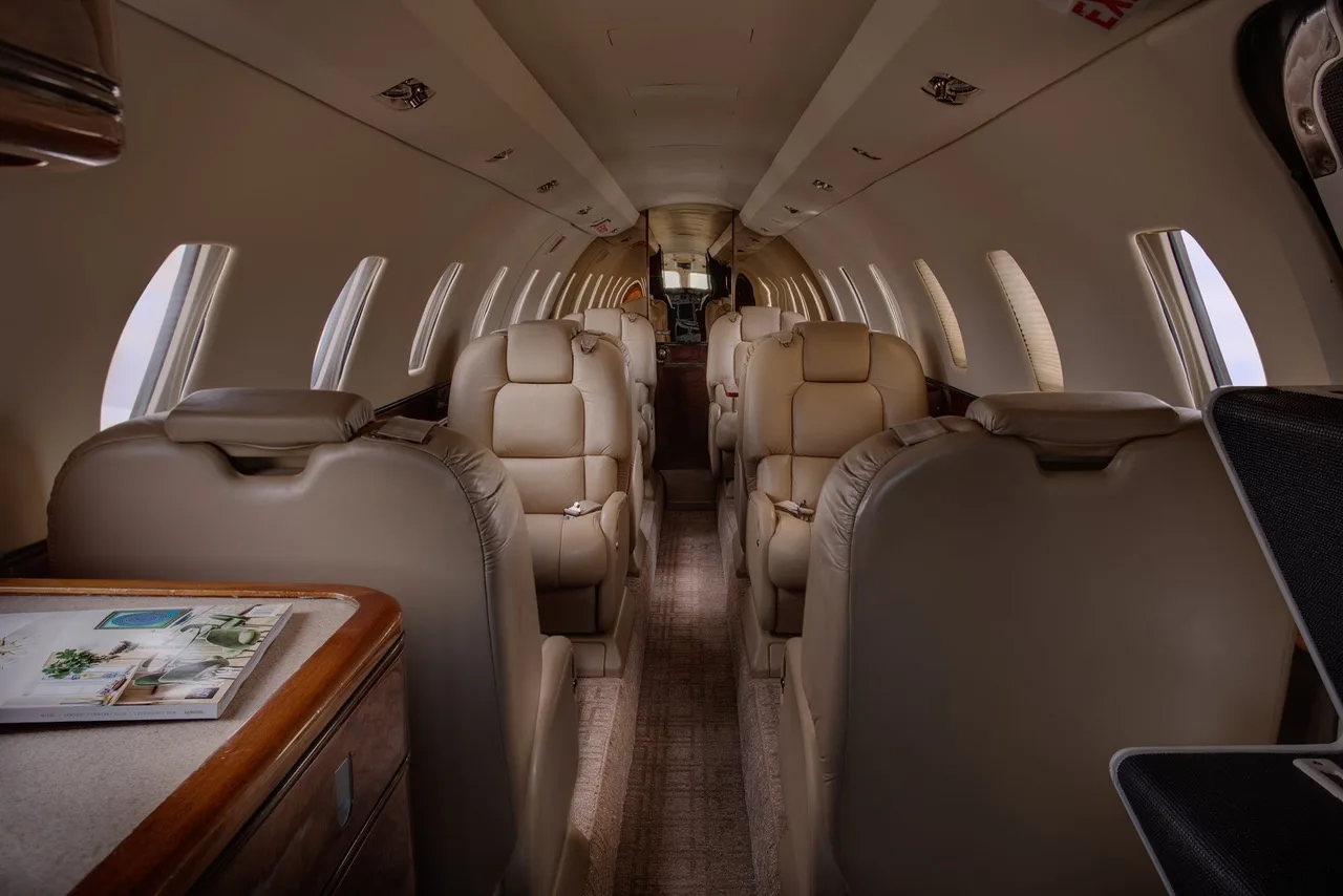 Aircraft interior with leather seats and carpeted floor.
