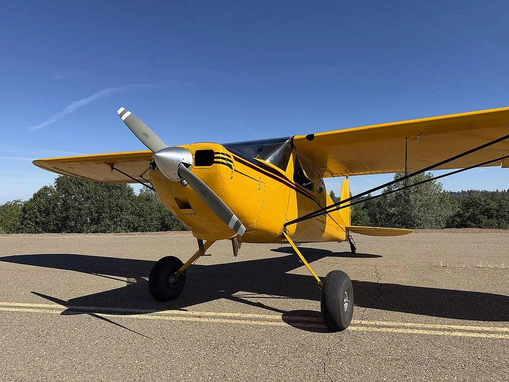Front-quarter view of a yellow high-wing aircraft with black stripes, parked on an asphalt surface under a clear blue sky.