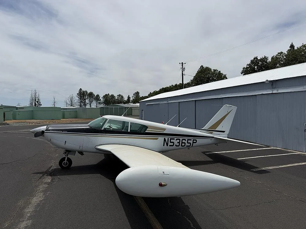 A Piper Comanche 250, registration N5365P, in white and black with gold stripes, parked on an airfield next to hangars.