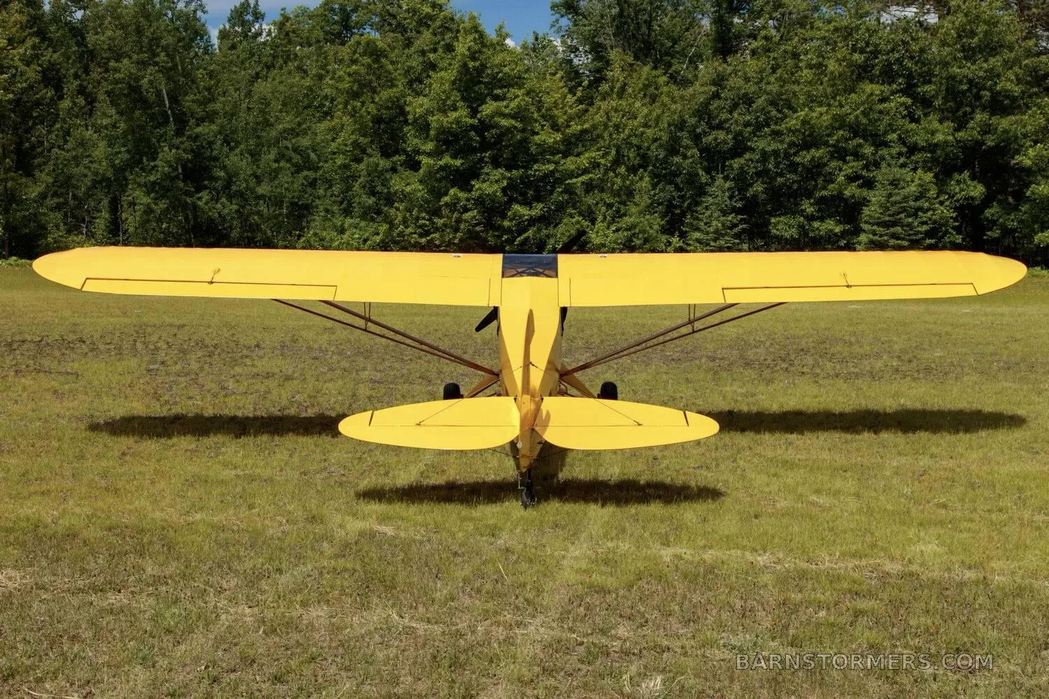 A rear view of a yellow high-wing taildragger aircraft with a tailwheel, parked on a grassy field with trees in the background.