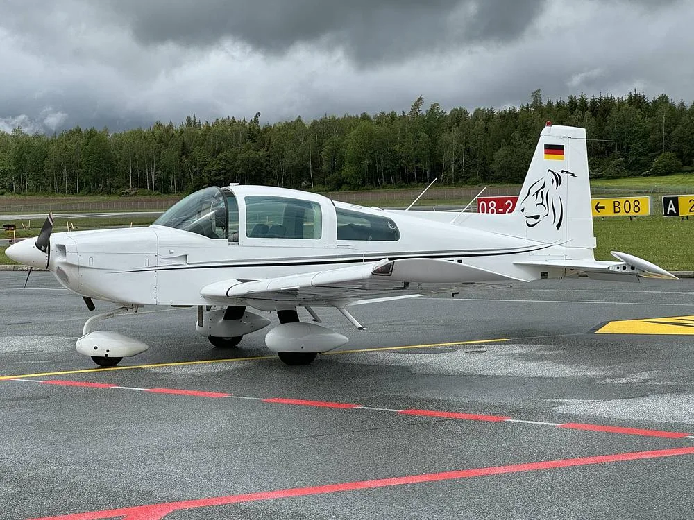 A white single-engine aircraft with a tiger head decal and German flag on the tail, parked on an airfield under a cloudy sky.