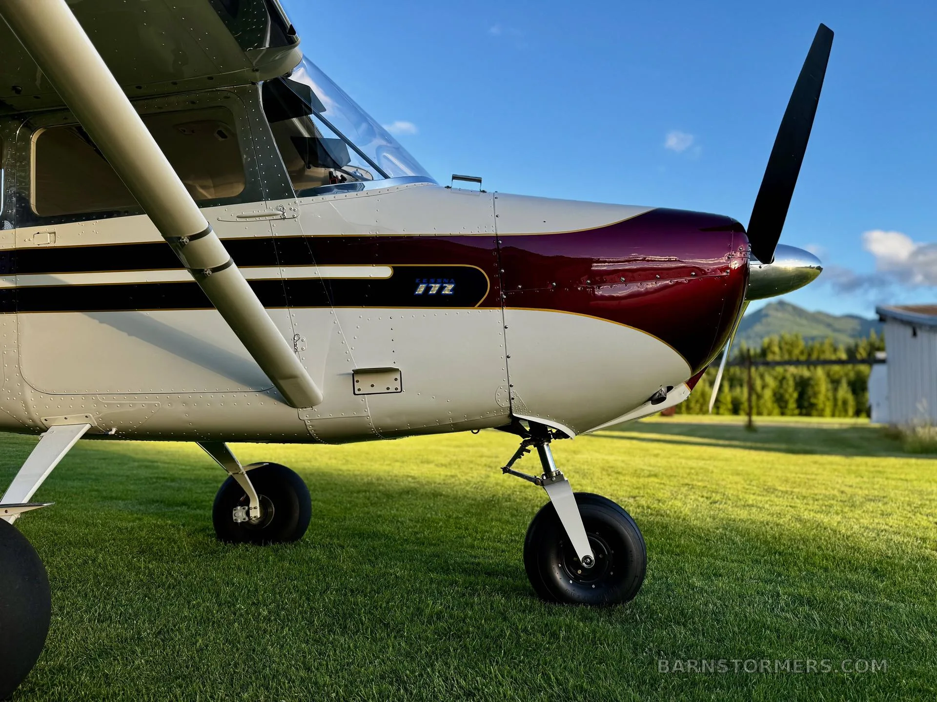 A close-up view of the front right side of a white aircraft with a maroon nose cone and propeller, showing the "172" model designation.