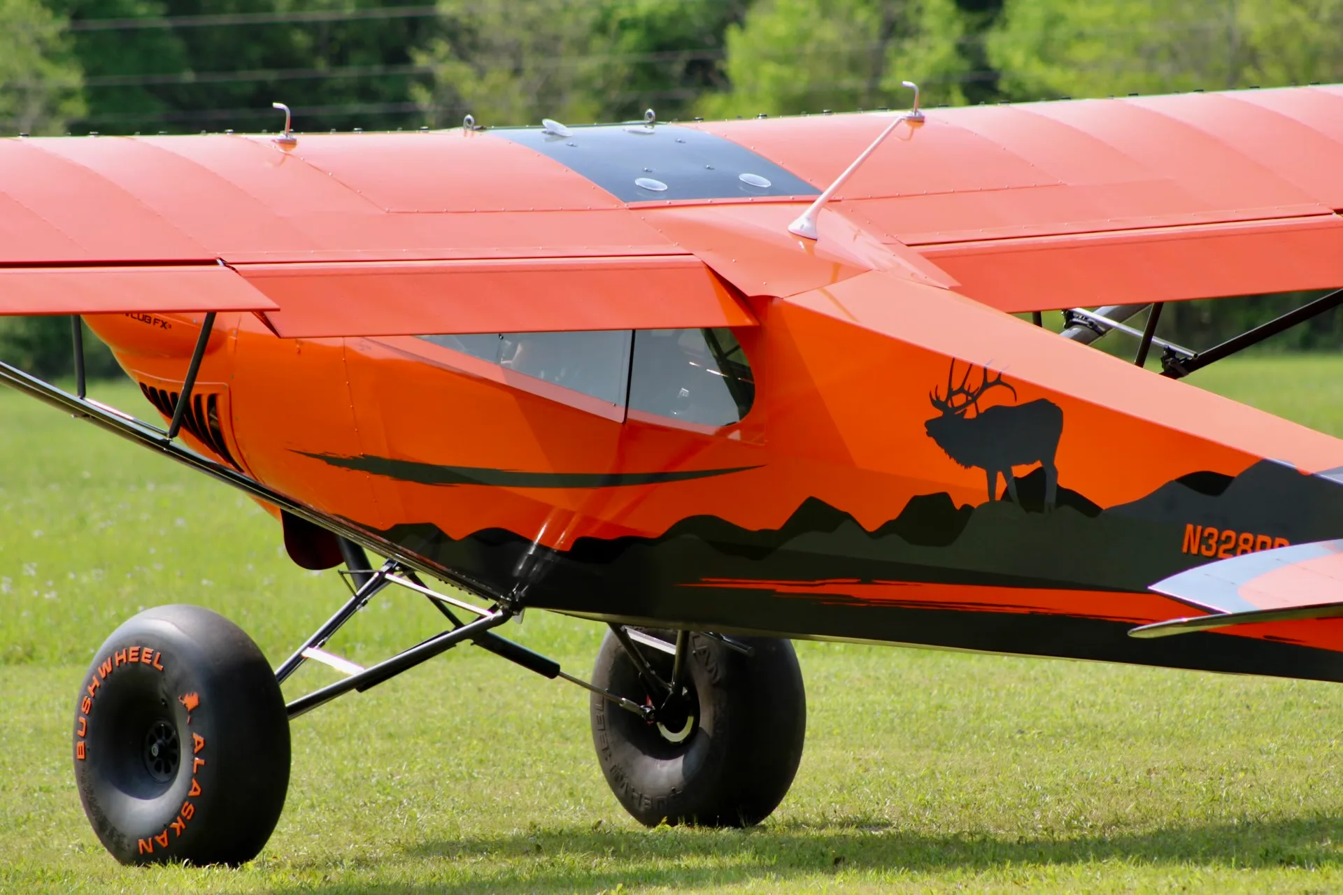 A close-up side view of the orange and black Carbon Cub FX-3 aircraft, showing the elk silhouette and large bush wheels on a grassy field.