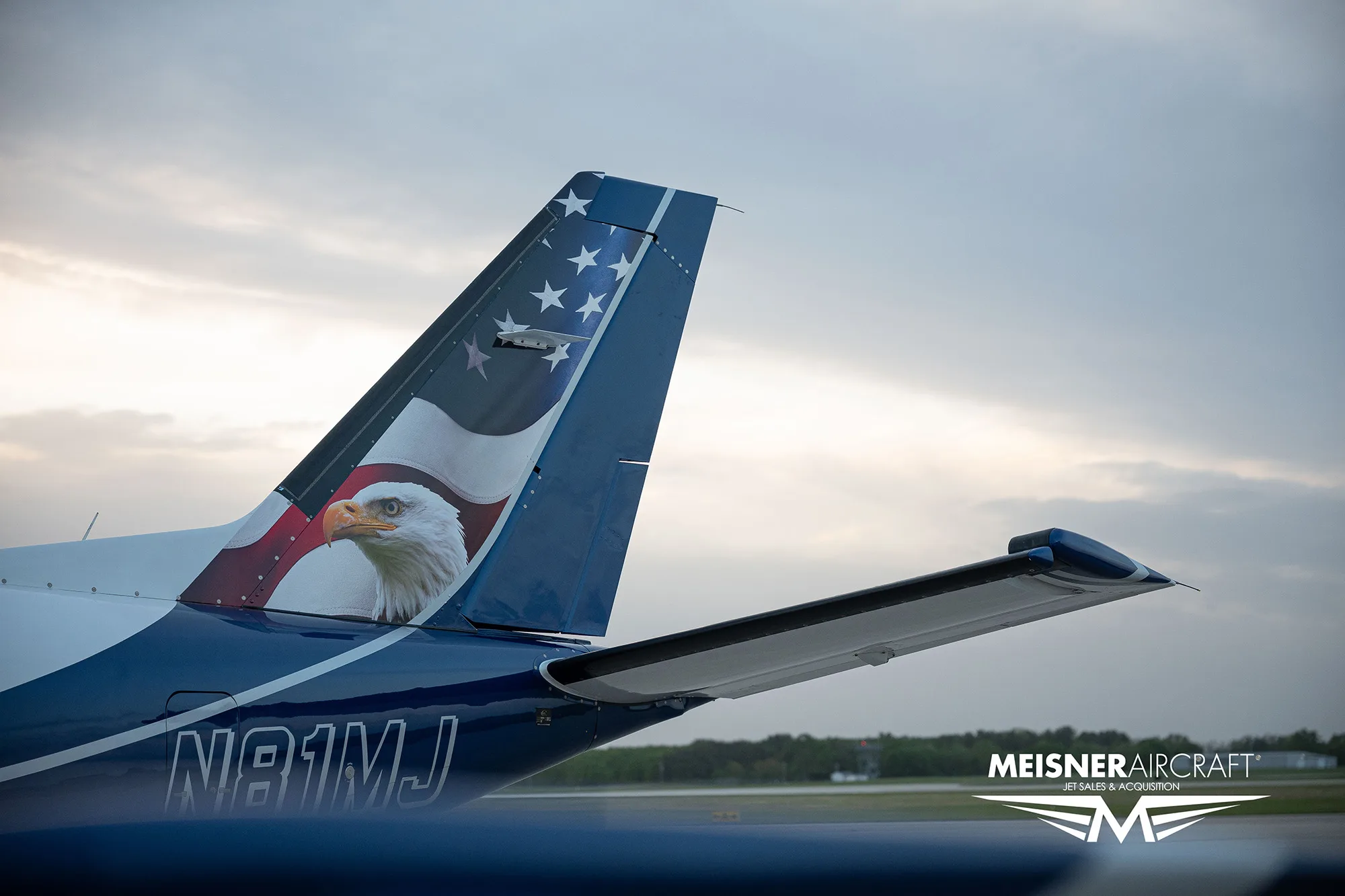 A close-up view of the tail of a TBM aircraft, featuring an American flag and a bald eagle design.