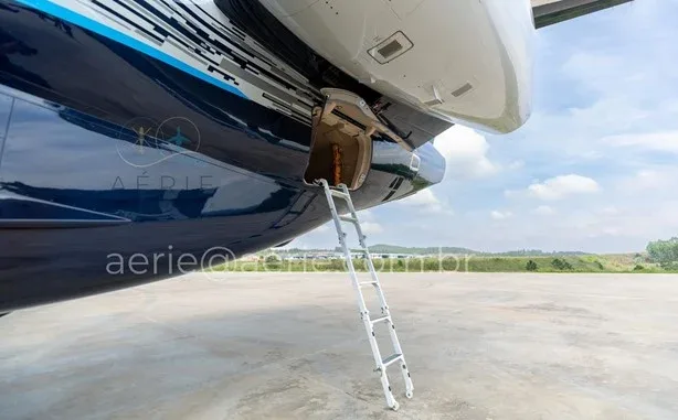 A close-up view of an open access panel under the fuselage of the aircraft with a ladder extended to the ground.