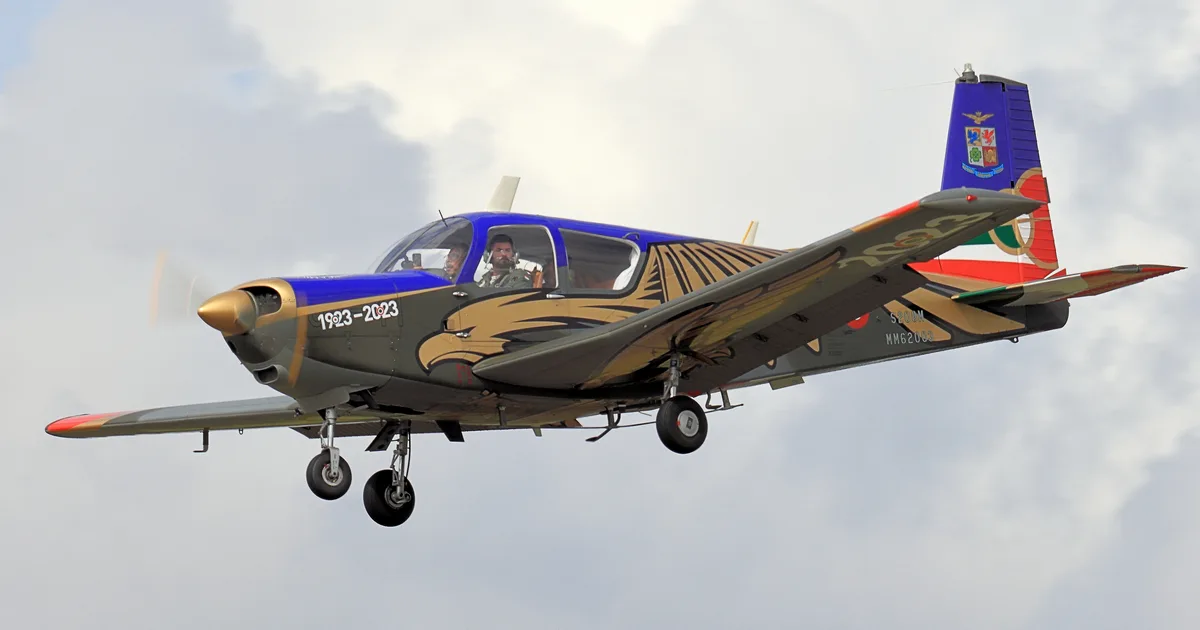 SIAI-Marchetti S.205