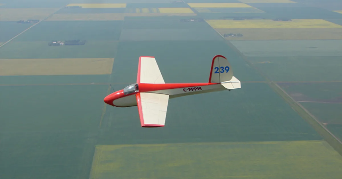 Schweizer SGS 1-36