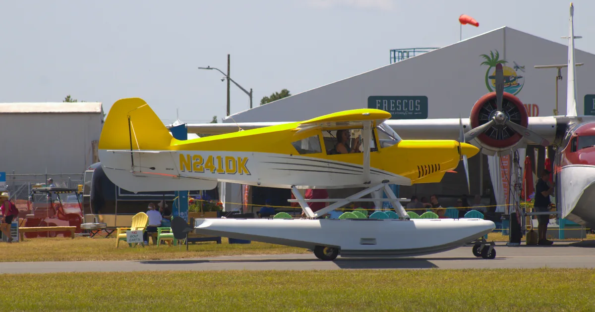 AviPro Aircraft BEARHAWK PATROL