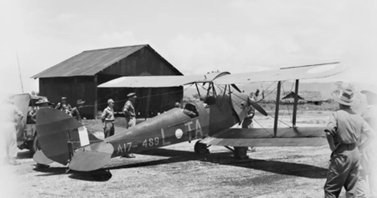 D.h.c. DH 82-C